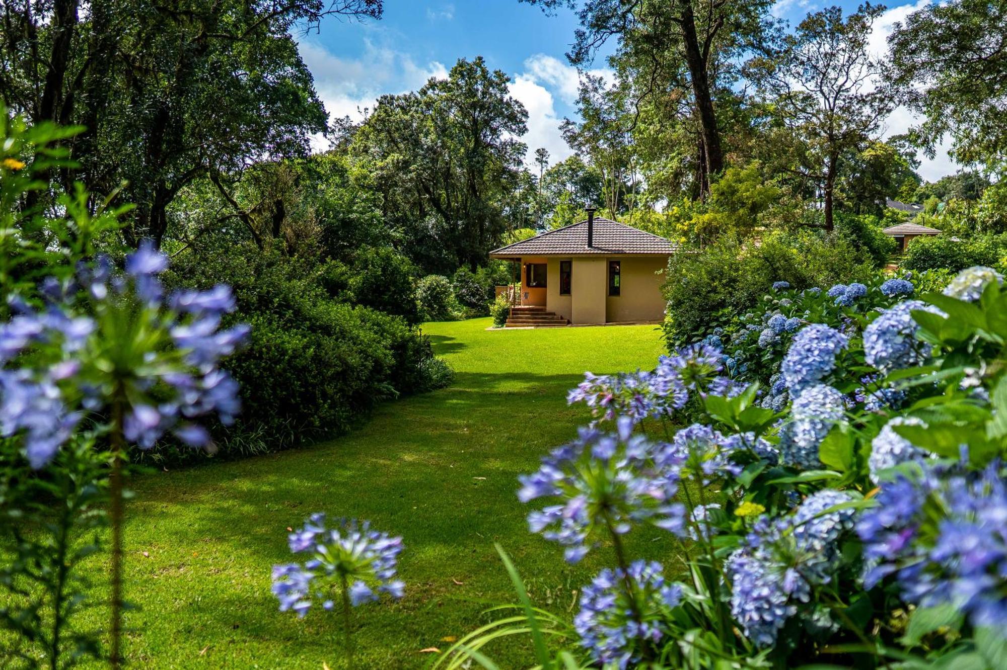 Kuhestan Farm Farm stay *